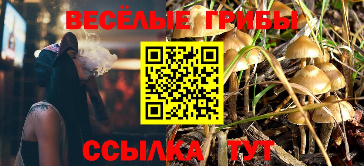 Северск  купить наркотик  Вход с VPN  Псилоцибиновые грибы Magic Shrooms 